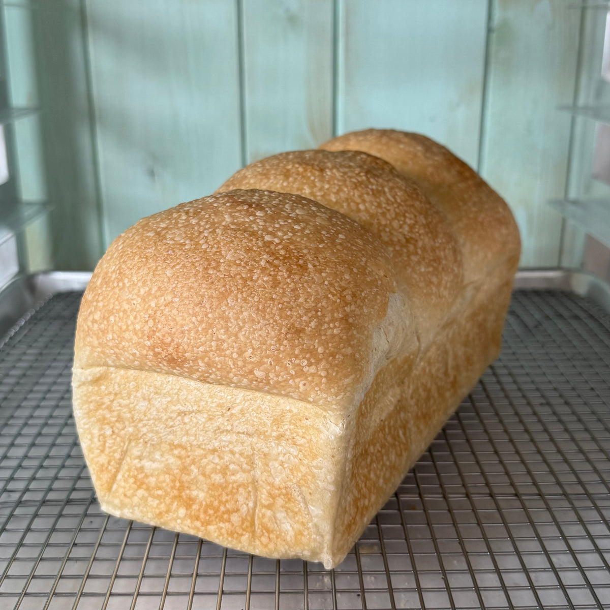 Seg Loaf Soft White Loaf – Loaf Land