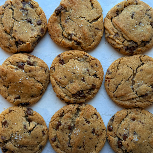 Chocolate Chip Cookies (6)