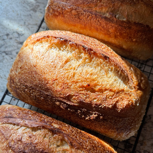 Sourdough Pan Loaf